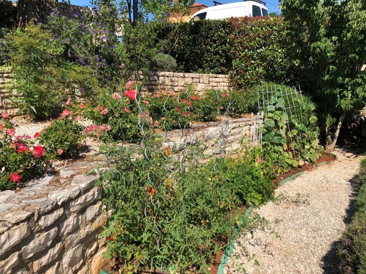 Villa Casa Stefanie Kaštelir Esterno foto